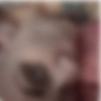 Nkjohnny